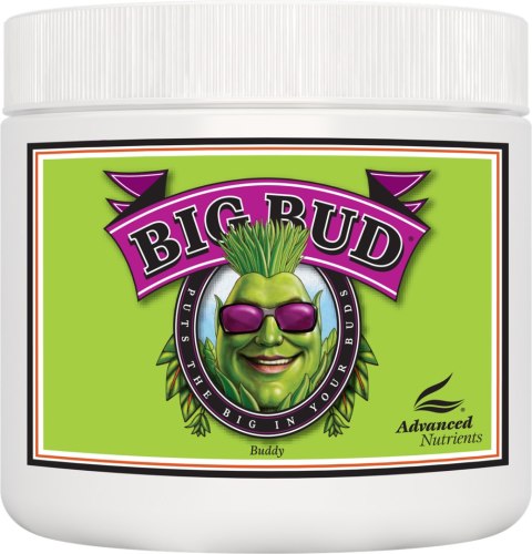 ADVANCED NUTRIENTS BIG BUD PROSZEK 500GR