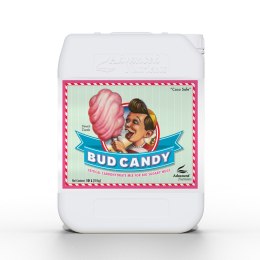 ADVANCED NUTRIENTS BUD CANDY 10L