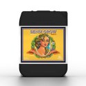 ADVANCED NUTRIENTS SENSI GROW AB 10L