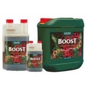 CANNA BOOST 250ML