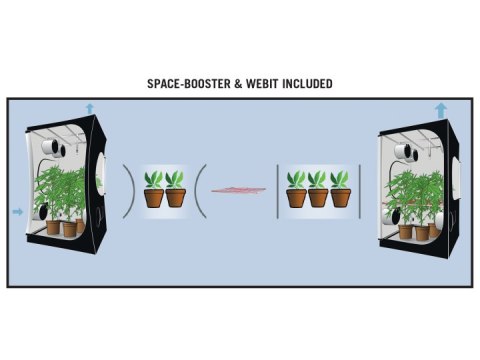 SECRET JARDIN DARK STREET 120*H198 R4.0