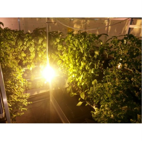 4SM - PIONOWY SYSTEM HYDROPONICZNY MAŁY