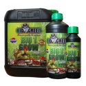 BIO GREEN 1 GROW 1L