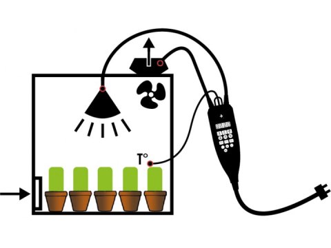 SECRET JARDIN NANO GROW