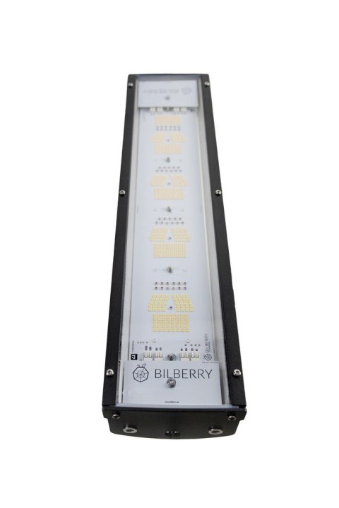 BILBERRY LED 160W