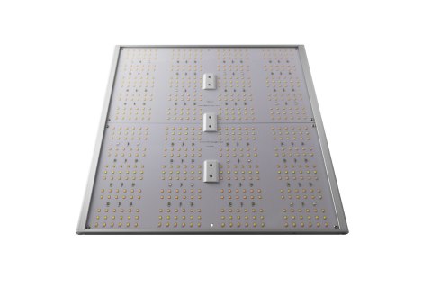 CALUMA FORCE LED 320W