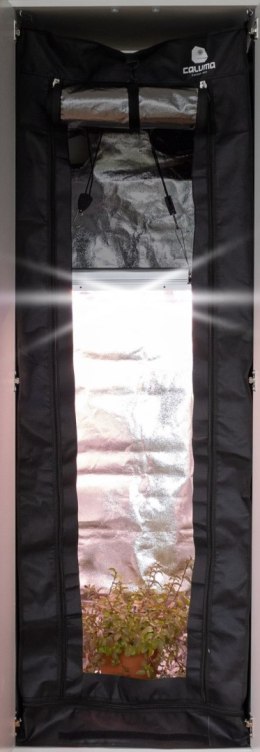 CALUMA READYMADE 100 MATERIAŁ