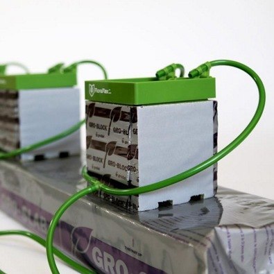 FLORAFLEX MICRO DRIP ŁĄCZNIK T 1/4" 10 SZT