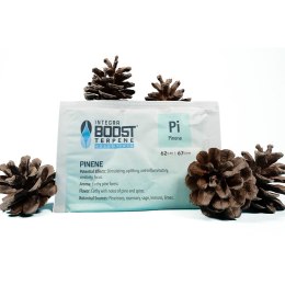 INTEGRA BOOST TERPENY PINENE 67G 62%