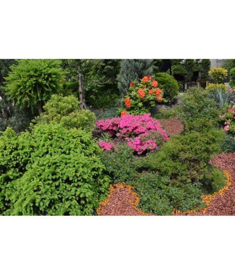 BIOVITA ZRĘBKI POMARAŃCZOWE 50L