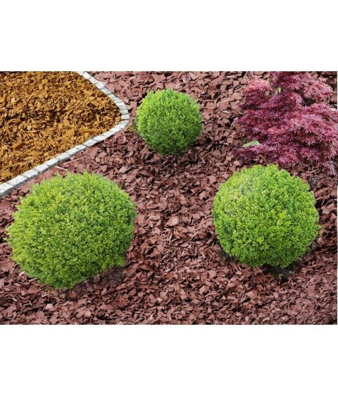 BIOVITA ZRĘBKI ŻÓŁTE 50L