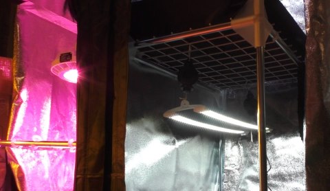 SECRET JARDIN COSMORROW ZASILACZ DO LED 2/3*40W