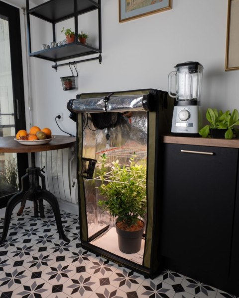 SECRET JARDIN FOR TWENTY 100