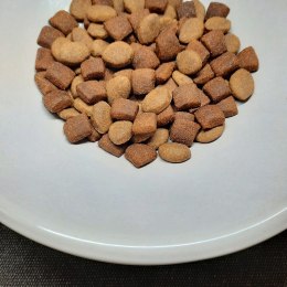 PUPIL Prime bogata w drób z wołowiną dla psa 10 kg