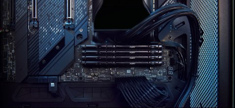 KINGSTON DDR5 16GB 6000MT/s CL30 DIMM FURY Beast Black EXPO