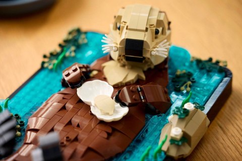 LEGO Ideas 21366