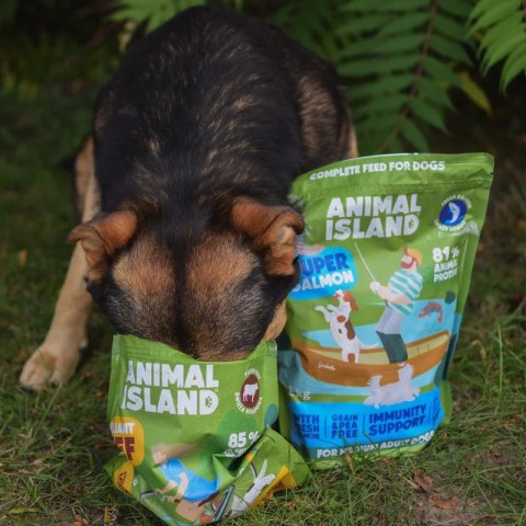 ANIMAL ISLAND łosoś sucha pies 1 kg