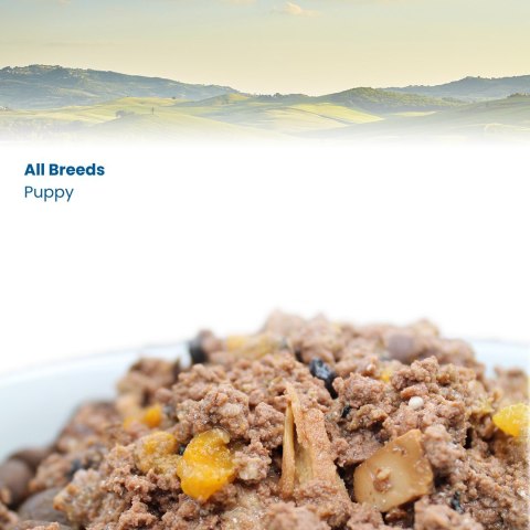 FARMINA N&D Pumpkin Dog Lamb, Pumpkin, Blueberry Puppy - mokra karma dla szczeniąt - 285g