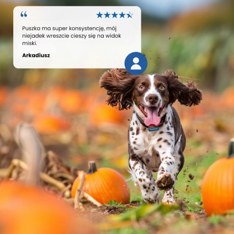 FARMINA N&D Pumpkin Dog Lamb, Pumpkin, Blueberry Puppy - mokra karma dla szczeniąt - 285g