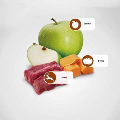 FARMINA N&D Pumpkin Venison & Pumpkin - mokra karma dla kota - 70 g