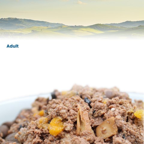 FARMINA N&D Pumpkin Venison & Pumpkin - mokra karma dla kota - 70 g