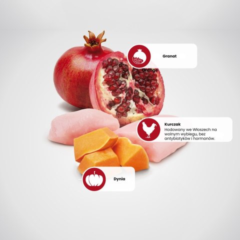 Farmina N&D Pumpkin sucha karma dla psów dorosłych małych ras z kurczakiem 7kg