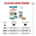 ROYAL CANIN FHN Cat Ageing 11+ 4kg