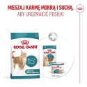 ROYAL CANIN FHN Cat Ageing 15+ 2kg