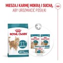 ROYAL CANIN FHN Cat Ageing Sterilised 11+ 4kg