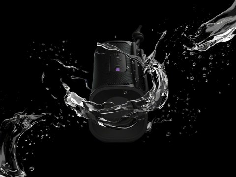 Sony SRSULT10B głośnik przenośny / imprezowy Głośnik mono przenośny Czarny 30 W