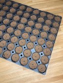 EAZY PLUG TACA CT104C