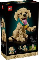 LEGO 11384 Icons - Szczeniak golden retriever