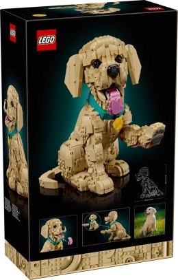LEGO 11384 Icons - Szczeniak golden retriever
