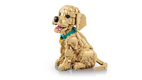 LEGO 11384 Icons - Szczeniak golden retriever