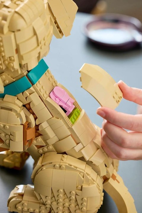 LEGO 11384 Icons - Szczeniak golden retriever