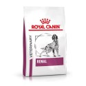 Royal Canin Veterinary Renal - sucha karma dla psa - 2 kg (OUTLET)