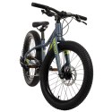 Rower MTB Batch Alu 20" chameleo (B374455W)