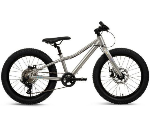 Rower MTB Batch Alu 20" silver (B374555W)