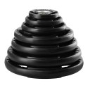 TOK25 PRO TALERZ OLIMPIJSKI OGUMOWANY 25 KG HMS